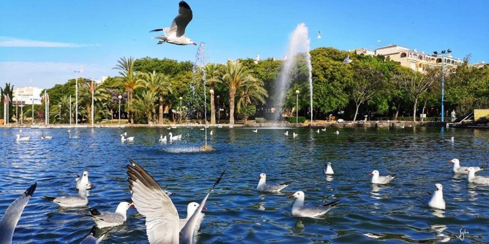 Torrevieja Experience San Julian Apartment Ngoại thất bức ảnh